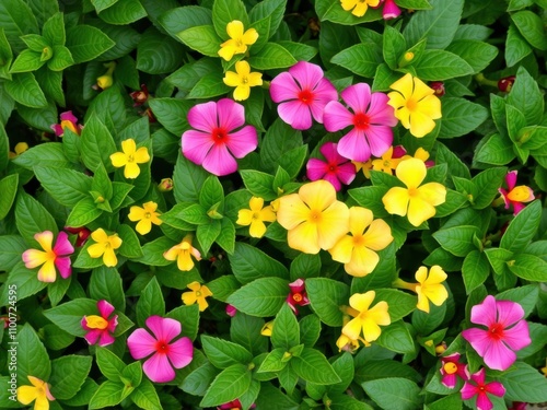 Lush green leaves with vibrant pink and yellow flowers blooming, representing the colors of spring, beautiful, seasonal