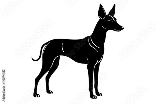 Cirneco dell’Etna Dog Silhouette Vector Illustration