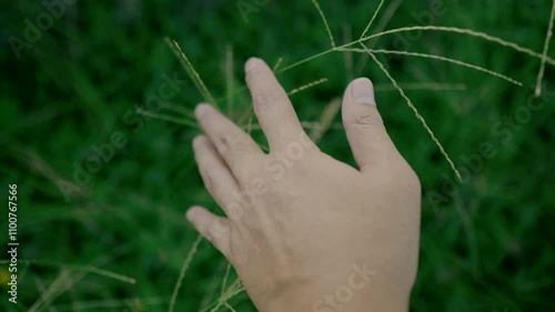Connection to Nature: Highlighting the human touch with natural elements, symbolizing harmony and mindfulness in the environment.