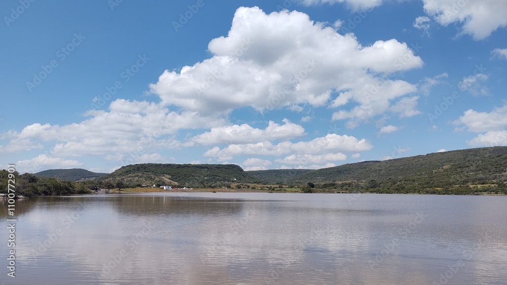 Fototapeta premium Presa