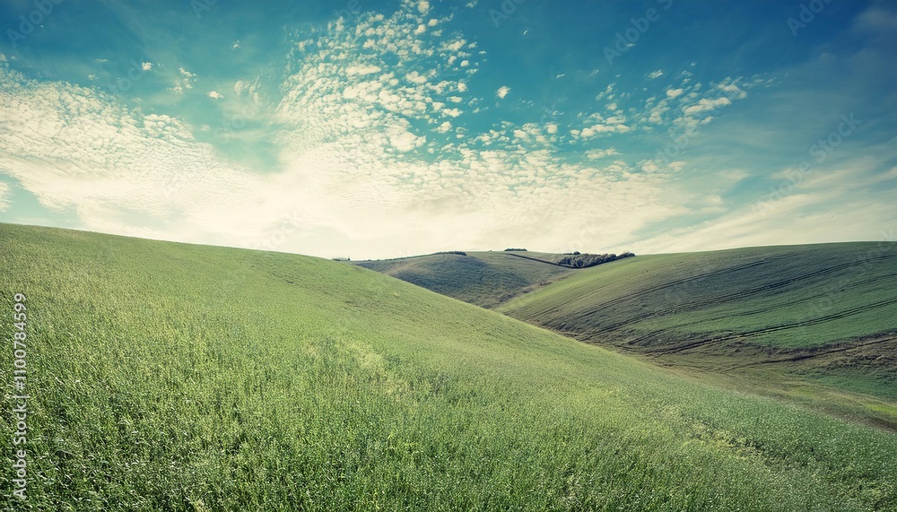 Fototapeta premium Scenic countryside view with green fields, rolling hills, and a bright sky during sunrise or sunset