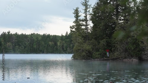lake in the woods