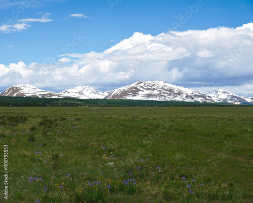 alpine meadow in the mountains