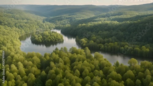 Wallpaper Mural the view of the forest and river from above is amazing Torontodigital.ca