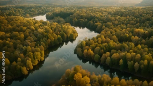 Wallpaper Mural the view of the forest and river from above is amazing Torontodigital.ca
