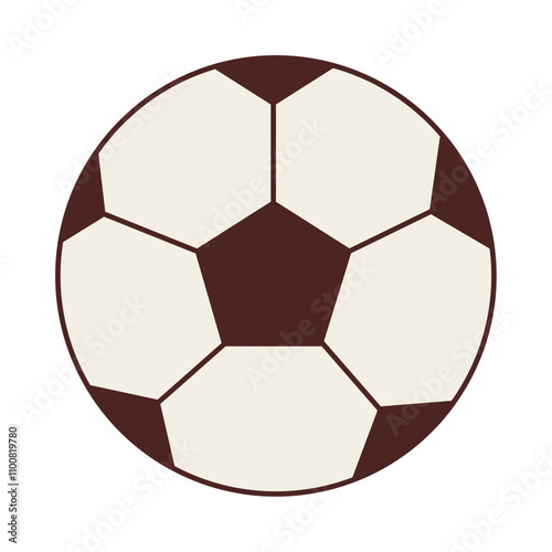 soccer ball sports equipment