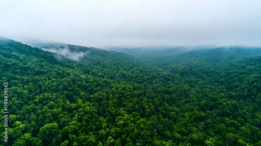 Fototapeta premium Misty Green Mountain Forest Aerial