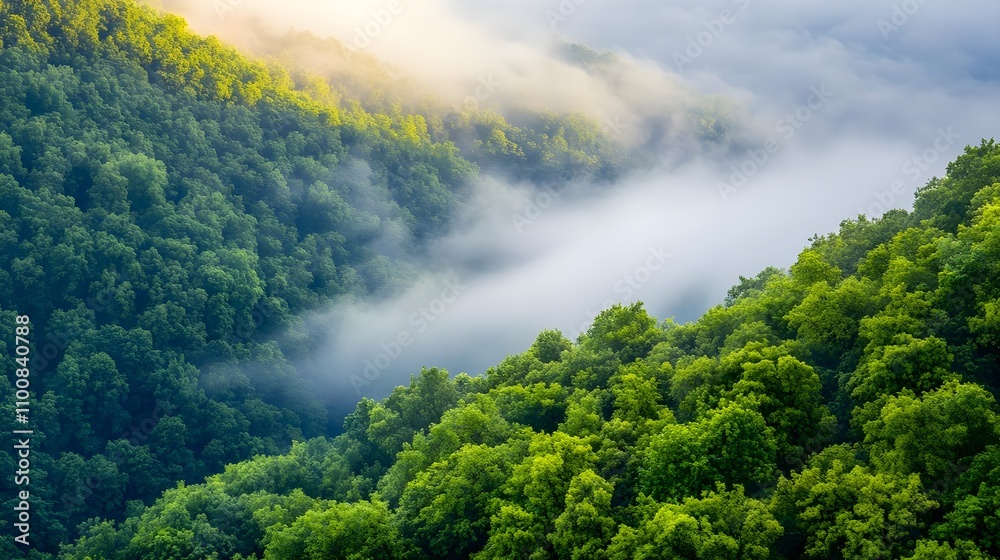 Obraz premium Misty Mountain Forest Sunrise