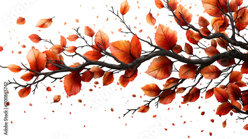 A tree branch with leaves in shades of red and orange, falling to create a vibrant autumn effect.