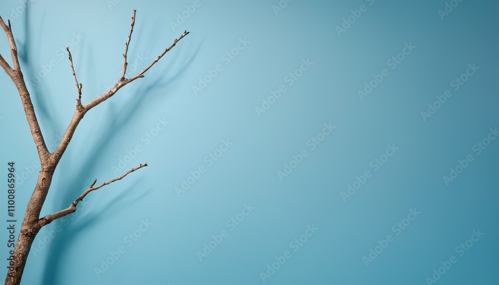 Fototapeta premium Minimalistic abstract gentle light blue background for product presentation with light and intricate shadow from tree branches on wall 8745