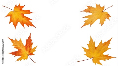 four different types of leaves are shown on a white background