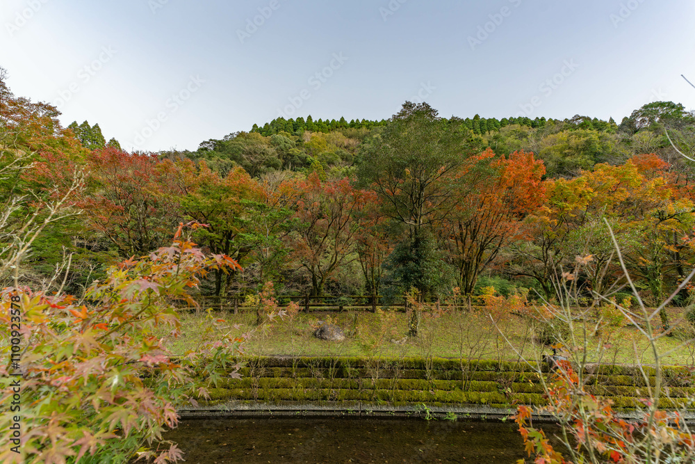 Obraz premium 青井岳自然公園の紅葉