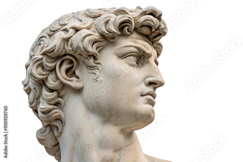 A marble bust with intense expression and chiseled features, its swirling curls exuding lifelike texture, symbolizing youth and defiance in classical art, isolated on a transparent background photo