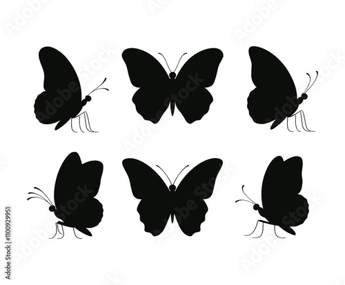 Butterfly Different Shapes Vector Template Illustration