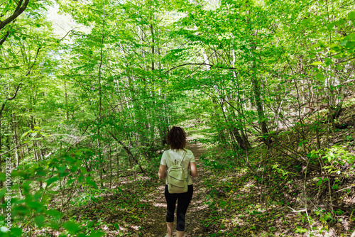 Картината върху платно Female traveler walking along forest road in green mountain forest