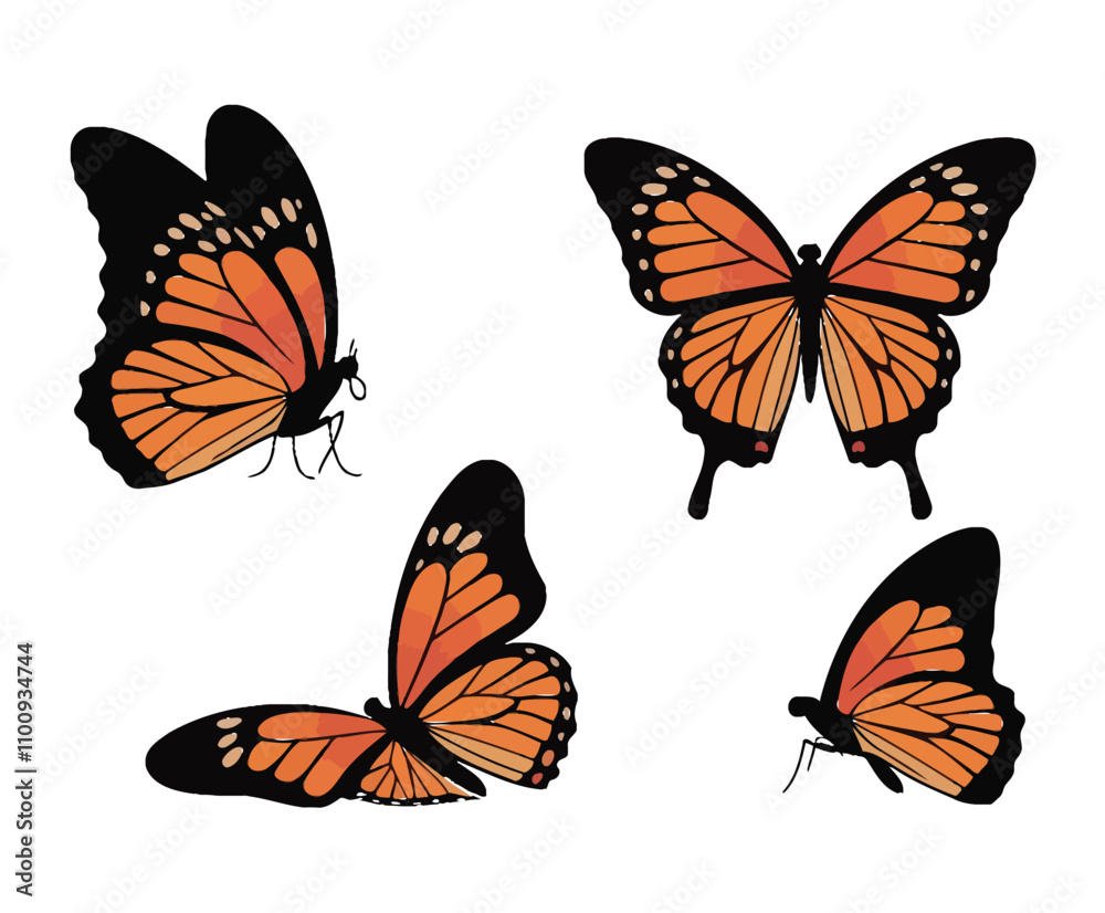 Obraz premium Smooth Butterfly Silhouettes EPS Vector Template Illustration
