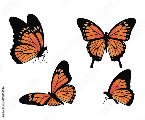 Smooth Butterfly Silhouettes EPS Vector Template Illustration photo