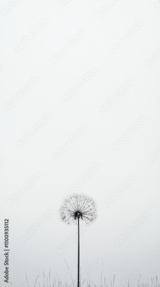 Fototapeta premium Solitary Dandelion: A minimalist black and white photograph of a single dandelion seed head against a muted sky. Evokes feelings of serenity, simplicity, and the fleeting nature of time. 