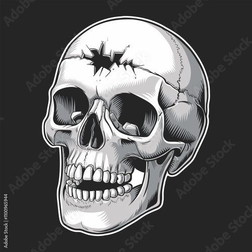 Human skull with a hole in the top of the head