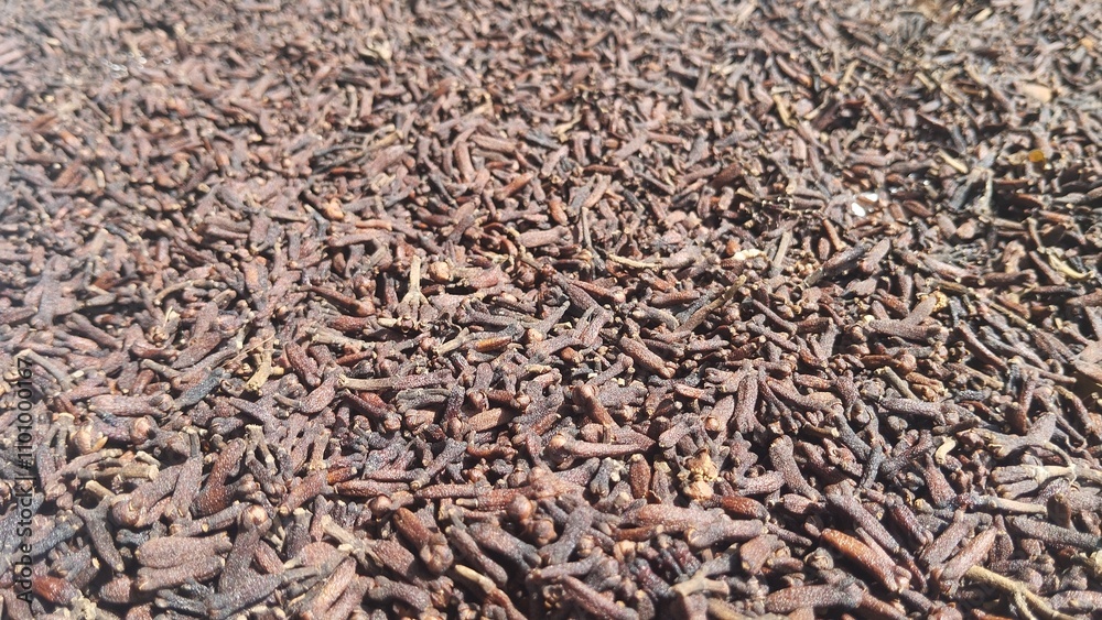 Fototapeta premium dried cloves, aromatherapy, cooking, oil, natural medicine and 