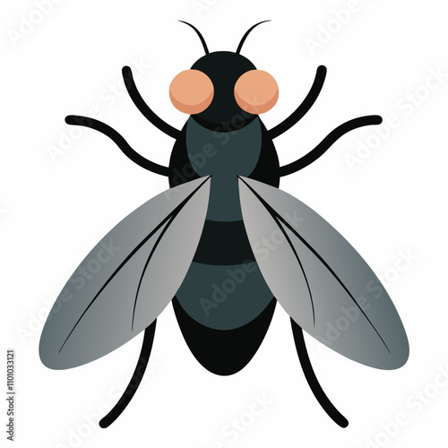 fly vector illustration on white background photo