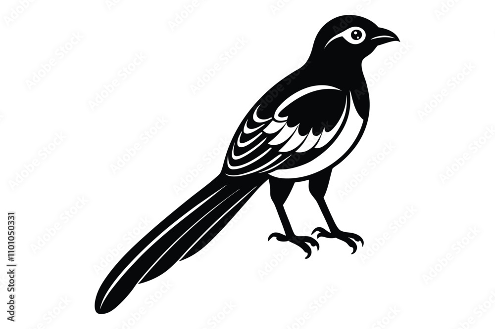 Fototapeta premium magpie bird silhouette vector illustration