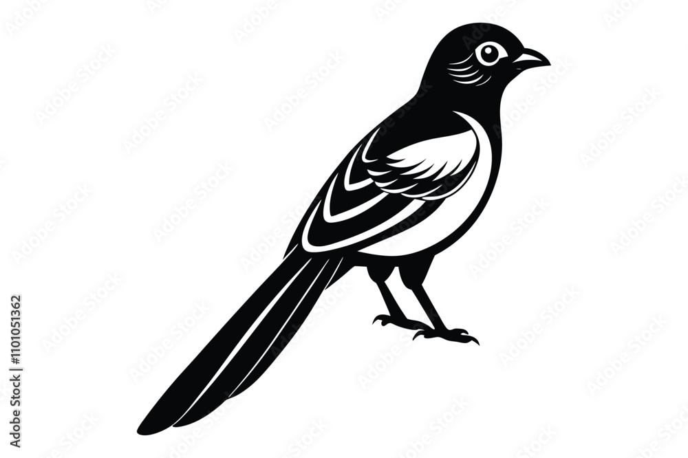Fototapeta premium magpie bird silhouette vector illustration