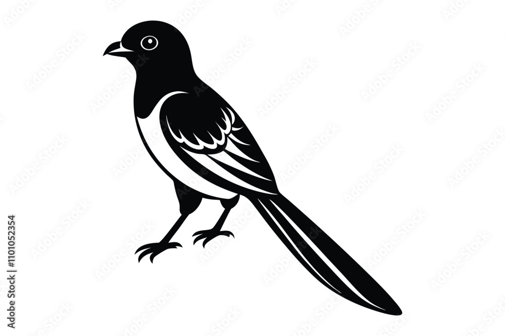 Fototapeta premium magpie vector illustration with white background
