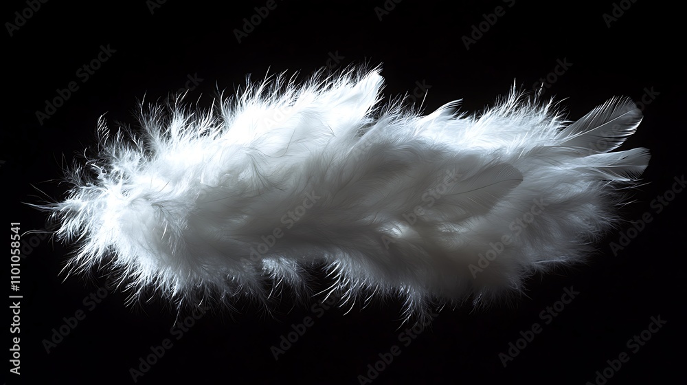Obraz premium White Feather Photography Bold Contrast Artistic Textured Beauty Dark Background Scene
