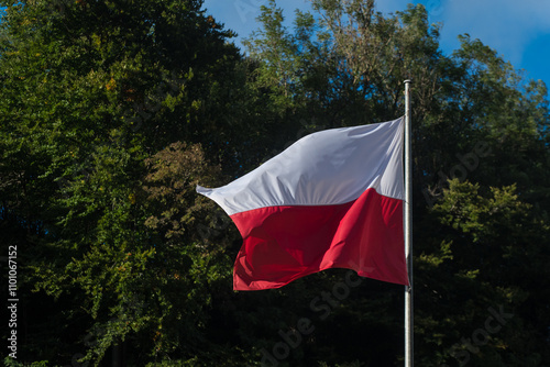 La bandiera della Polonia si muove al vento davanti ad alcuni alberi photo