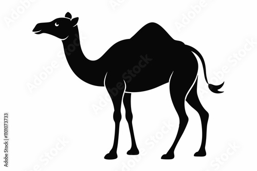 Black arabian camel silhouette isolated on white background