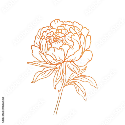 Golden Outline of a Peony Flower with Leaves on Black