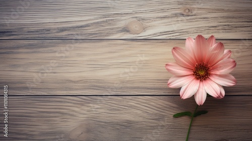 Pink flower on rustic wooden backdrop with empty space for text or graphics ideal for natural beauty or greeting card designs