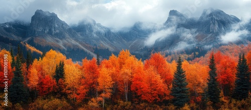 Vibrant autumn landscape with colorful trees and misty mountains in a serene national park setting