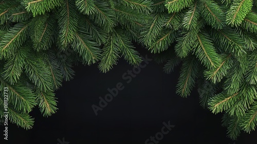 Christmas tree branches border garland on transparent background photo