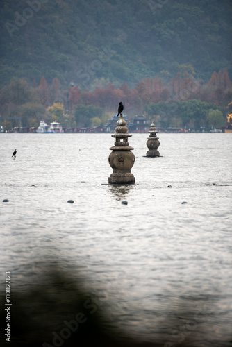 Canvas Print zen stones in water