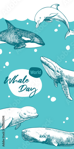 World Whale Day February 19. Vector vertical poster with cachalot, dolphin, orca and beluga and humpback whale. Hand drawn, engraving technique. Environmental protection concept.