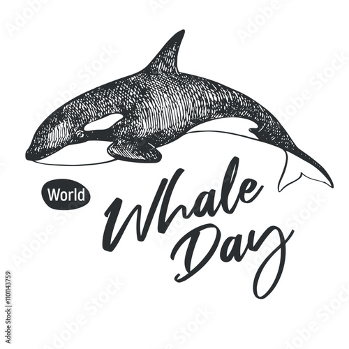 Whale Day emblem, February 19, 2025. Vector linear drawing of killer whale. Concept of global problem of preserving animal diversity in the ocean. Orca design for t-shirt.