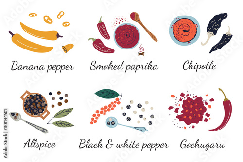 Spices vector illustration collection with banana pepper, smoked paprika, chipotle, allspice, black and white pepper, gochugaru. Flat cartoon doodle style, colorful seasoning set for cooking