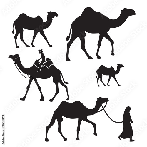 Set of black camels silhouettes on white background illustration