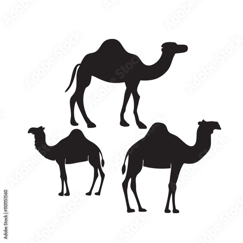 Set of black camels silhouettes on white background illustration