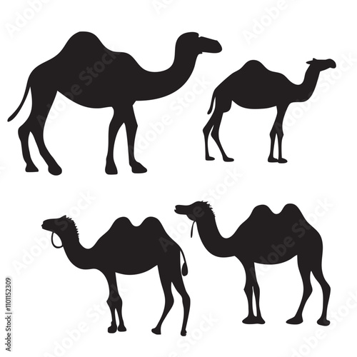 Set of black camels silhouettes on white background illustration