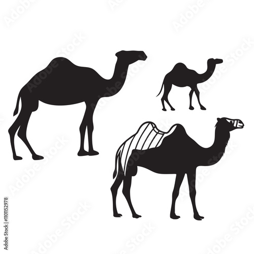 Set of black camels silhouettes on white background illustration