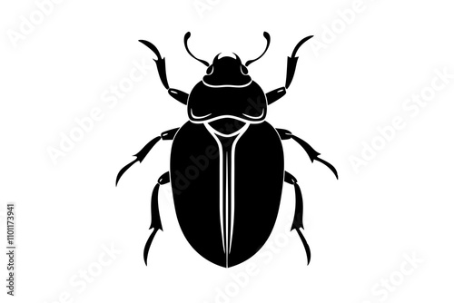 stag beetle isolated on white background