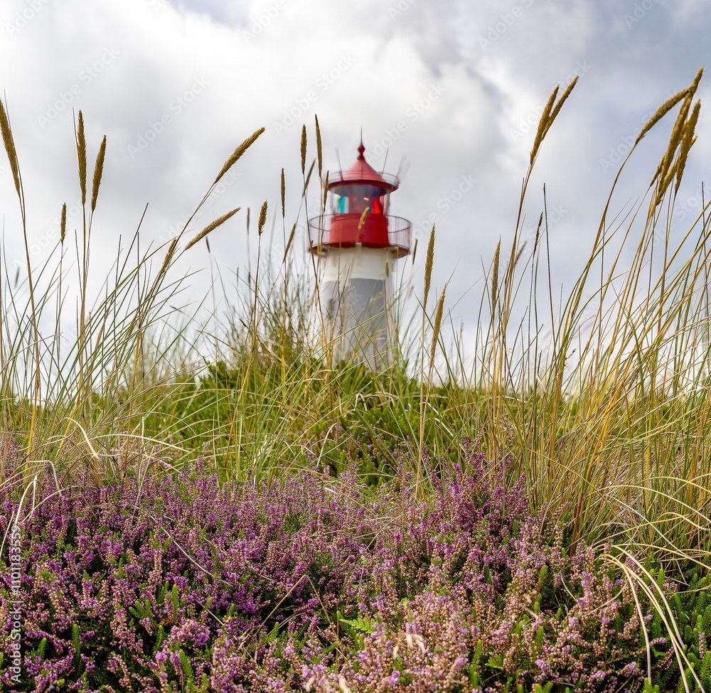 historical lighthouse in the beautiful nature at the elbow on Sylt