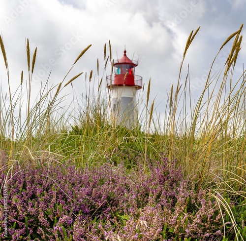 Obraz na płótnie historical lighthouse in the beautiful nature at the elbow on Sylt w salonie