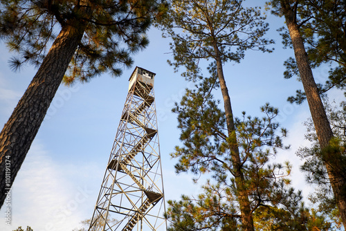 The tall metal fire lookout tower stands among pine trees. photo