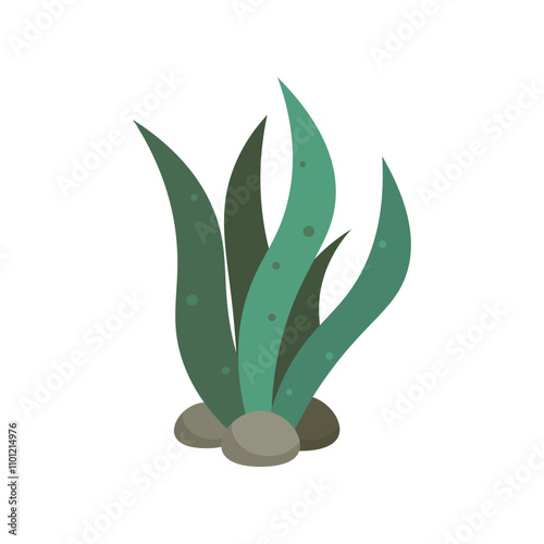 Underwater Plant Vector Illustration - 09