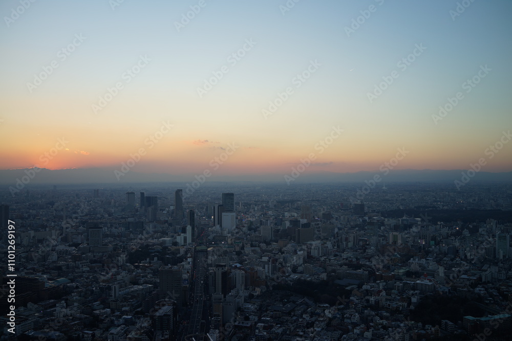 Obraz premium 夕暮れの巨大都市