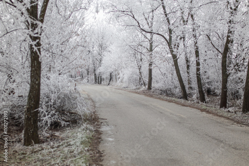 Frozen frosty ice coating winter mood